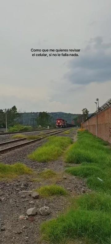 @elsr.deltren