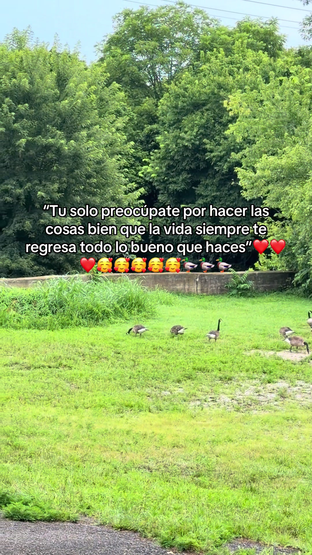 @🌺juanys🌺🍁