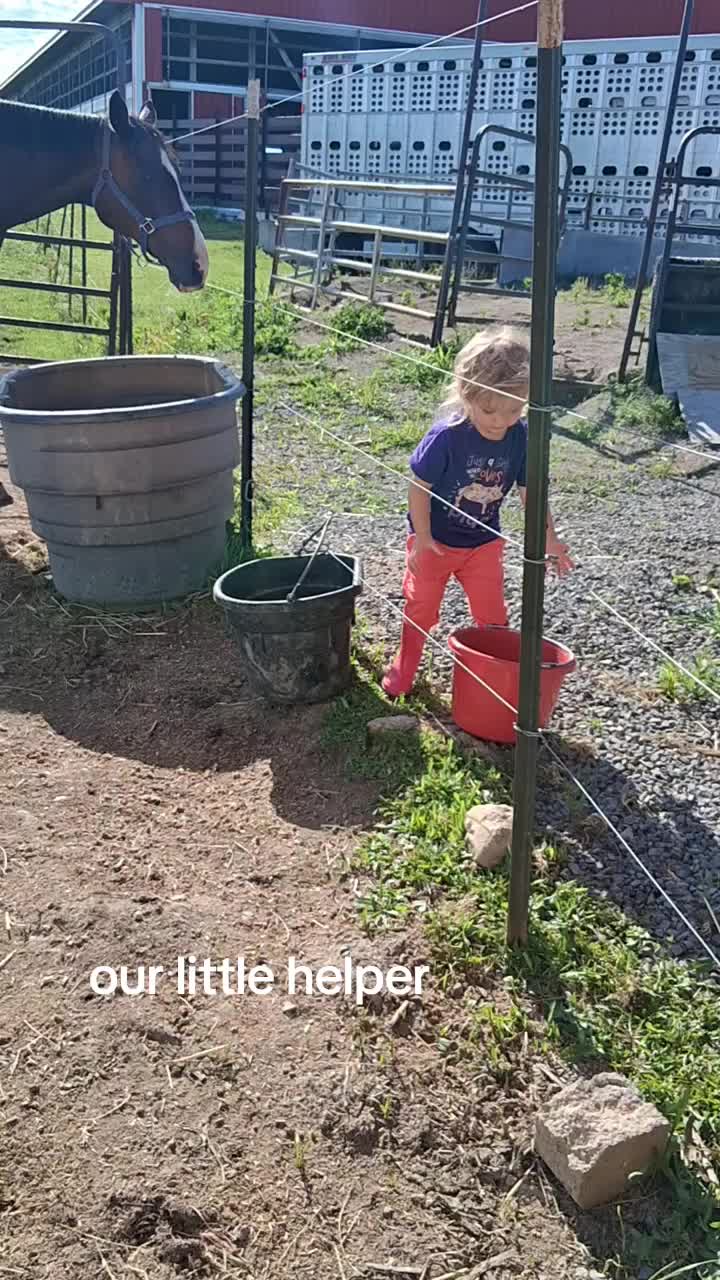 @Taylor | Sah{farm}m