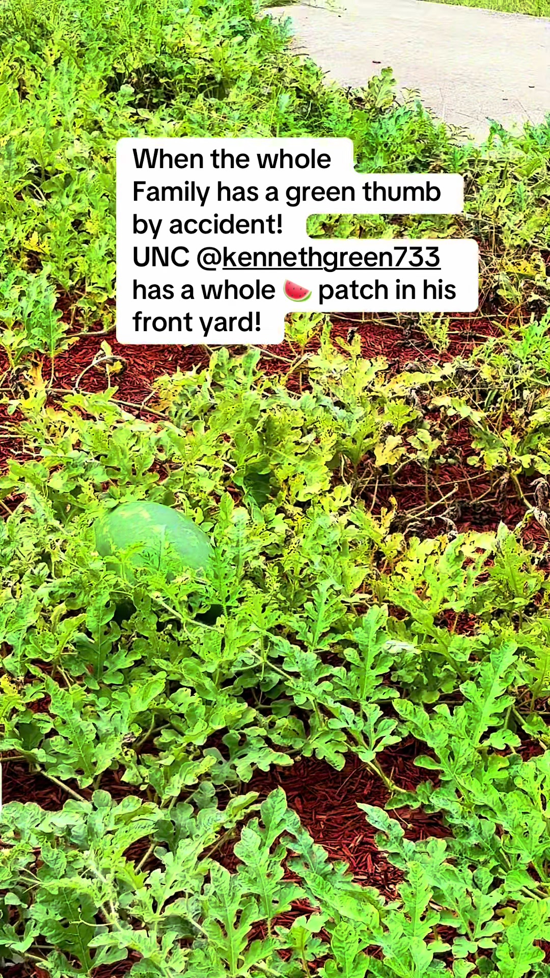 @greengirlgardens