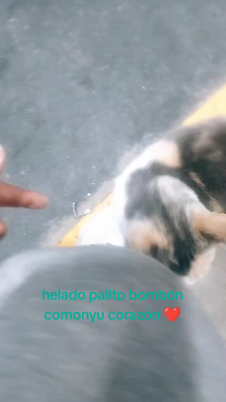 @alfajorcito 🍪