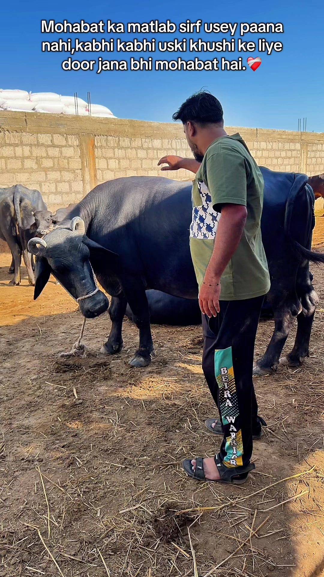 @🧸SHAHZAIB VLOG 👑 ⚡️ 🇵🇰🇲🇿
