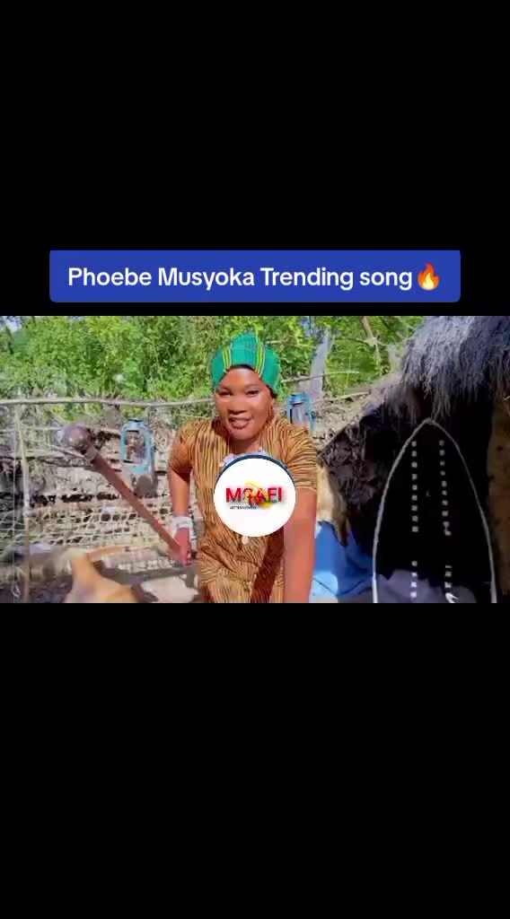 @MSAFI TV💫ONLINE