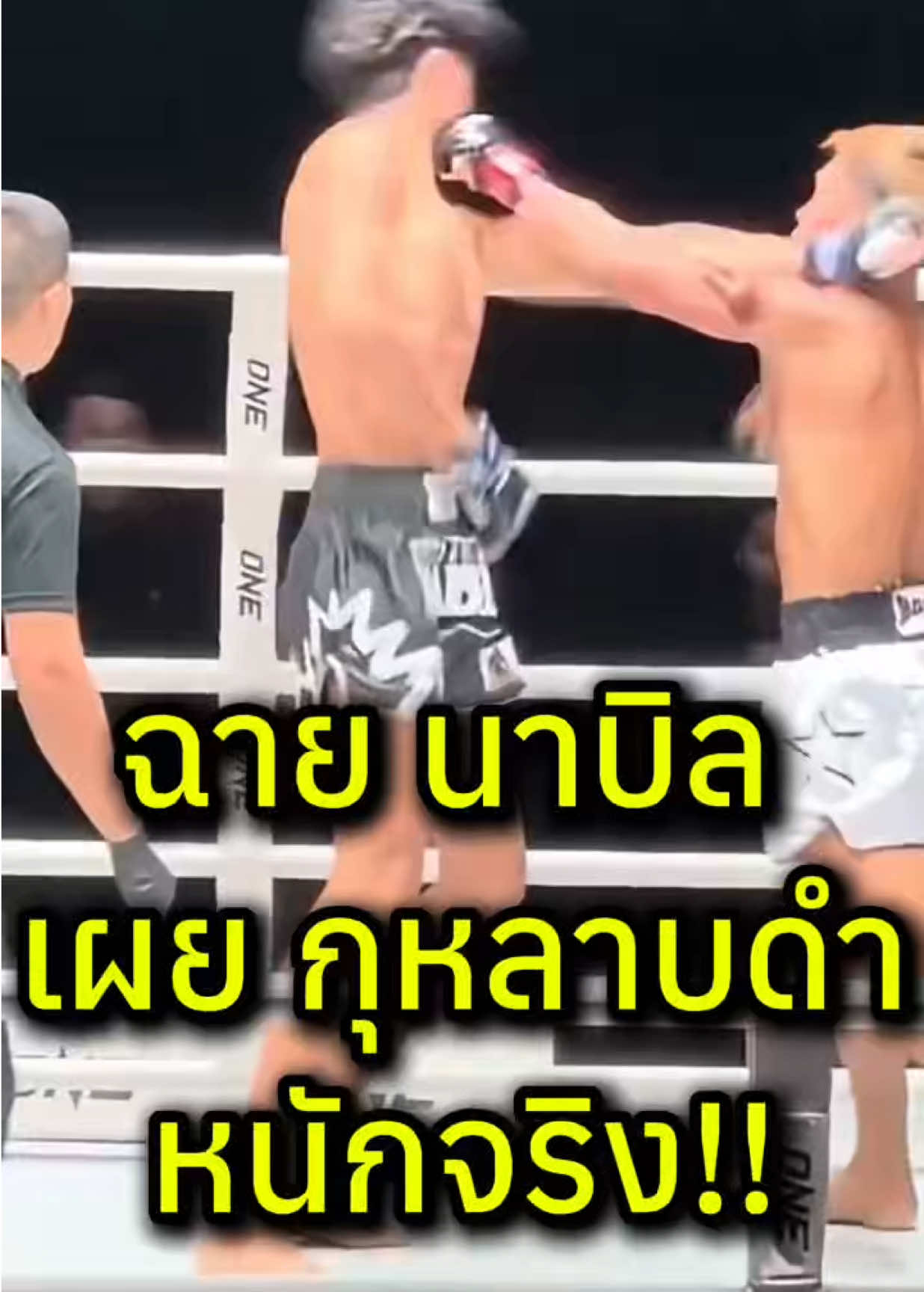@mongkol_konmuay