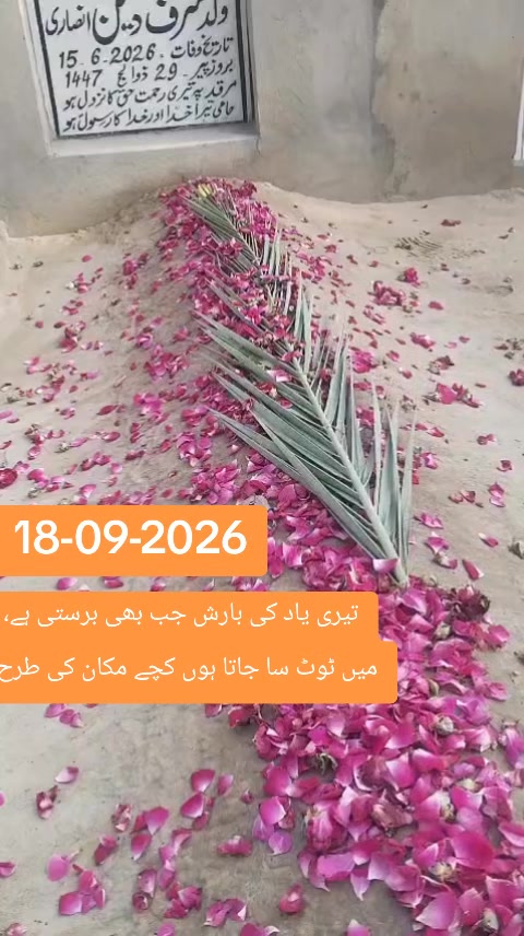 @Dr Zahid Bashir Ansari