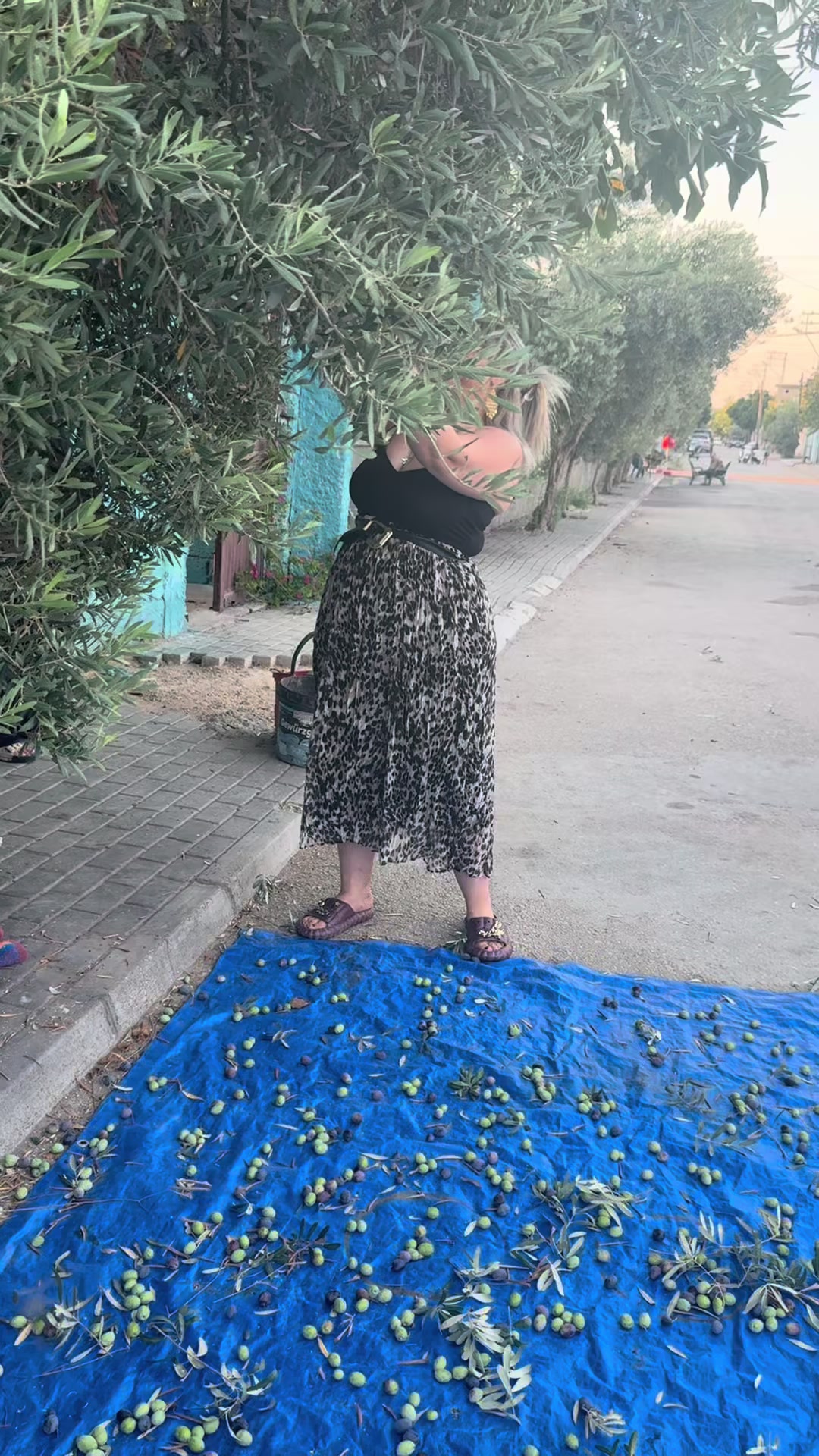 @⚔️Datlu Women⚔️