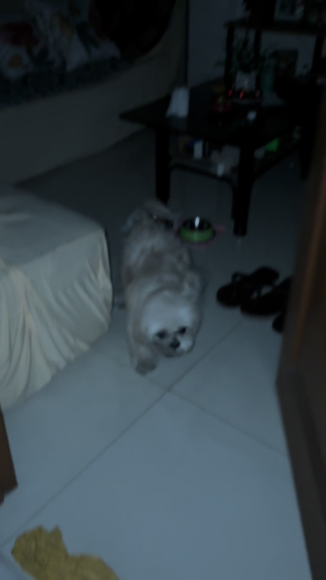 @𝐸𝑚𝑖𝑙𝑦 𝐹𝑎𝑦𝑒 &deg;❀ .☘︎ ݁˖