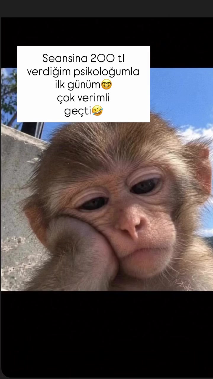 @Yumor_Time95