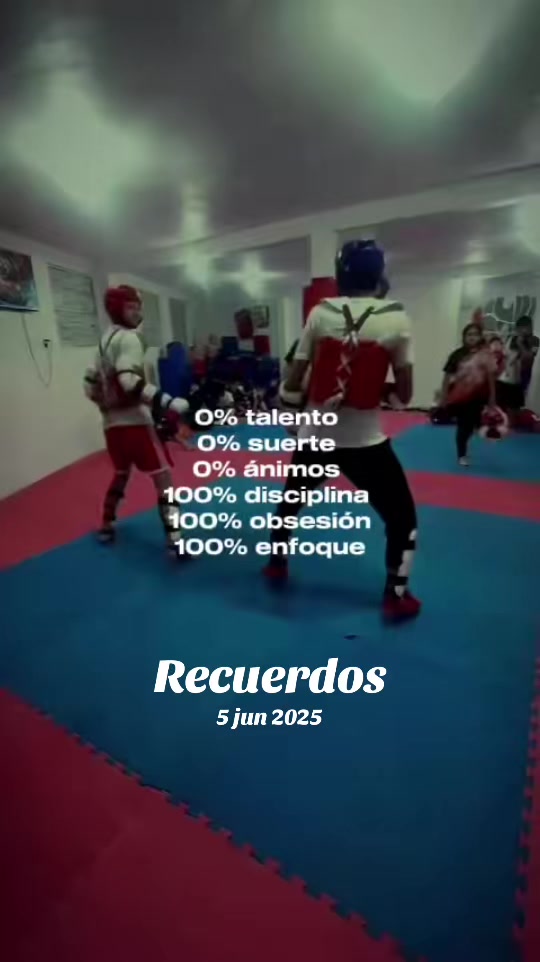 @taekwondolionsteam