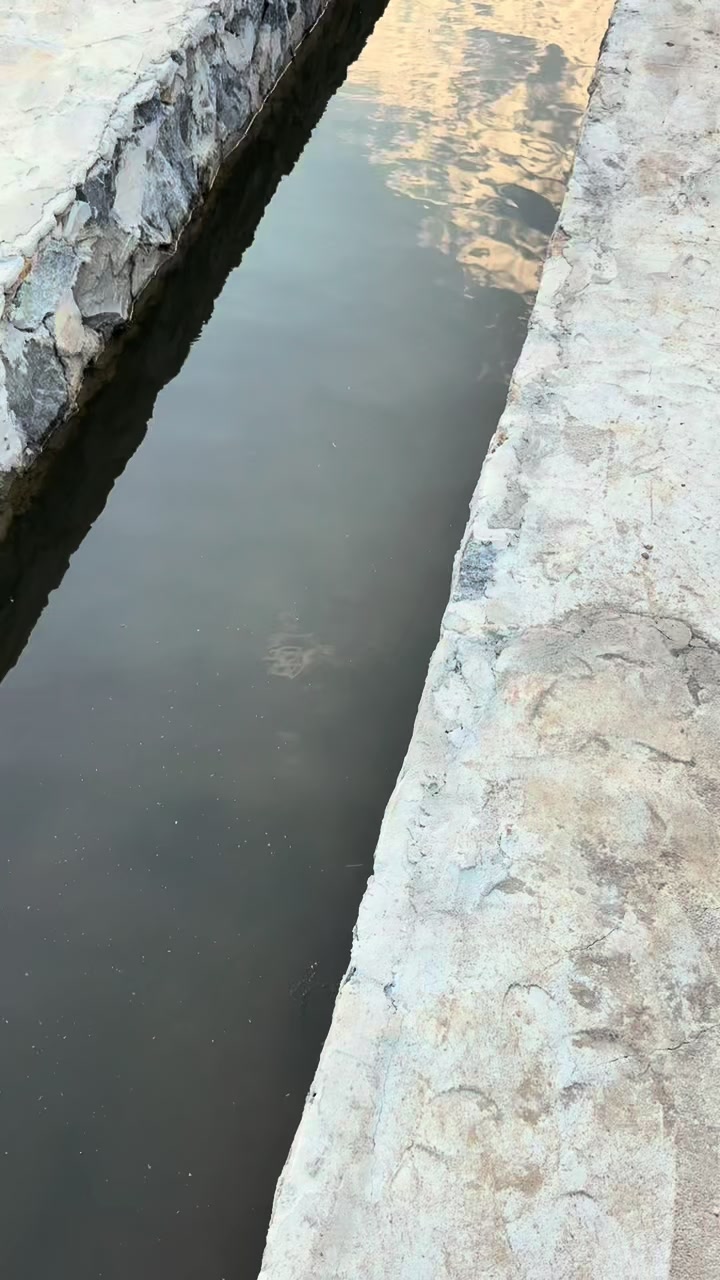 @𝐀