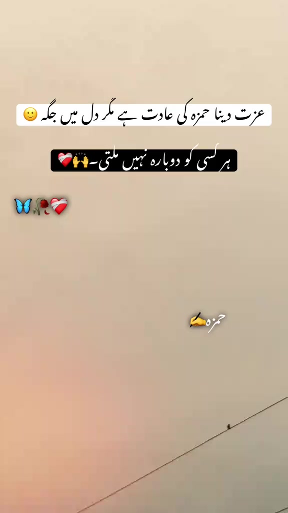 @Hamza Alvi🤓