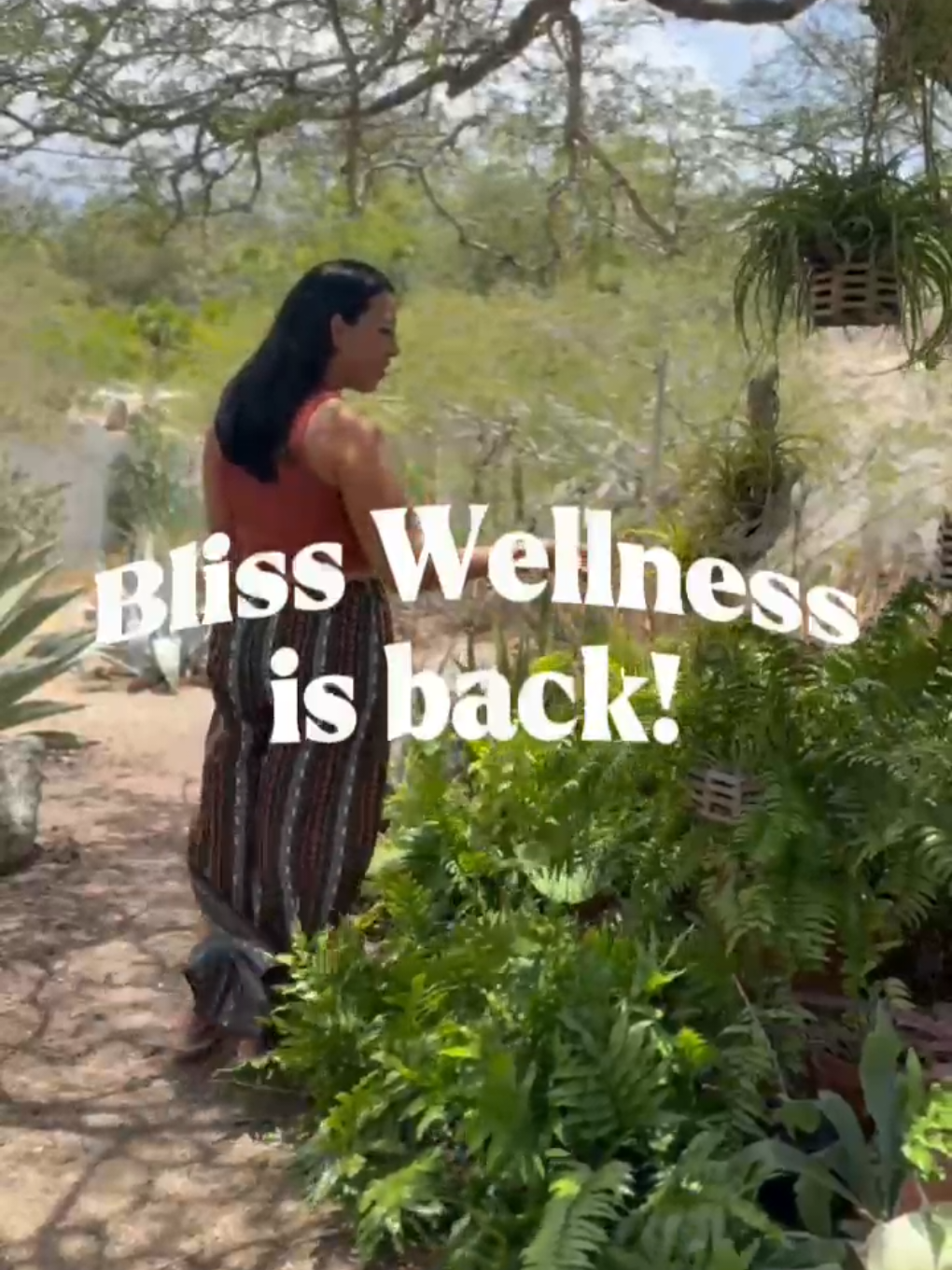 @blisswellnessaruba