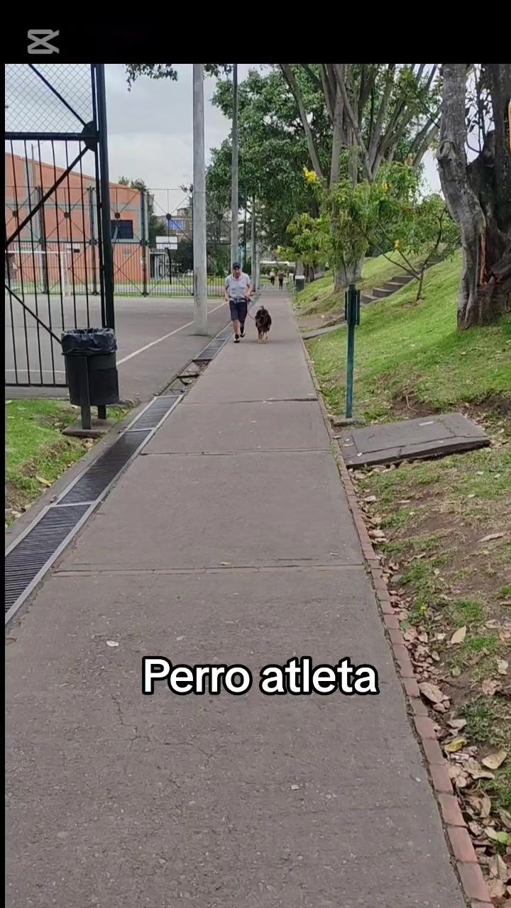 @luisomarfuentesve