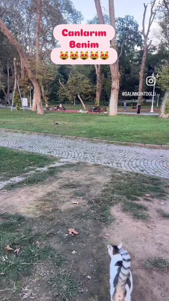 @Salim Kuntoğlu