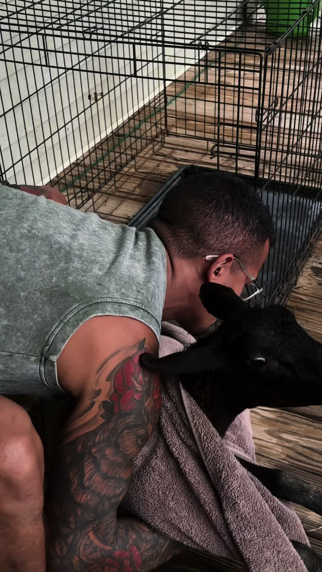 @👨&zwj;🌾Frank Martinez🧑&zwj;🌾🦊🩵💛