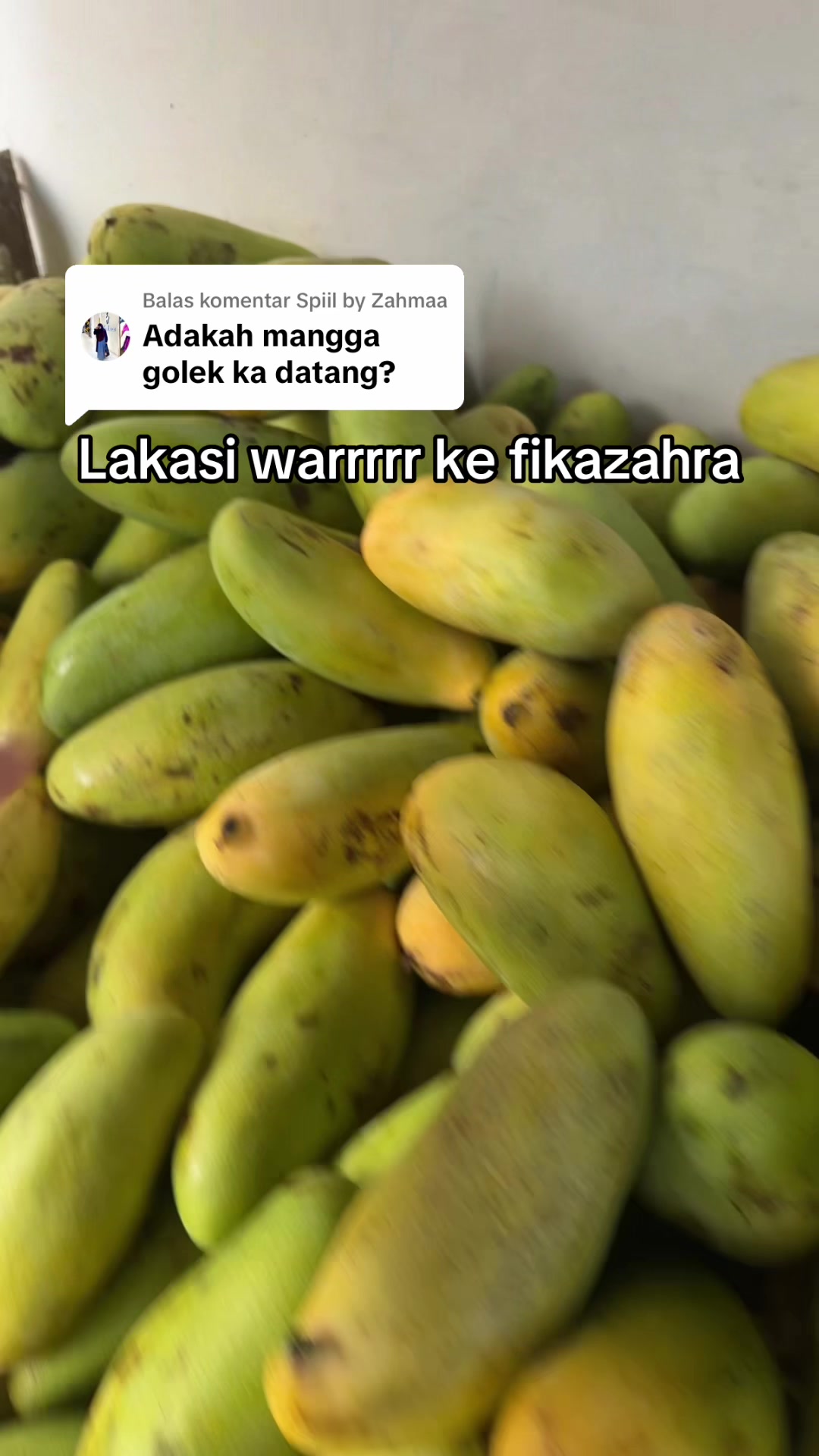@fika zahra shop11