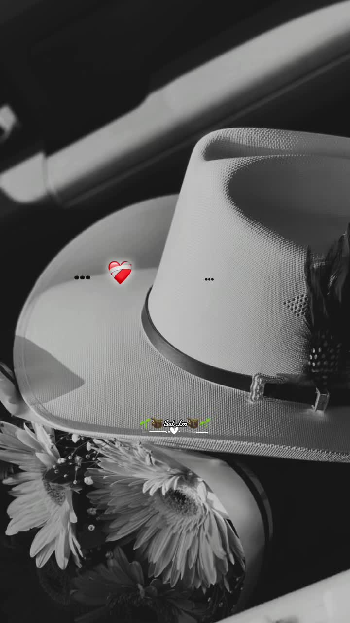 @🌱🦥Sel Lm🦥🌱
