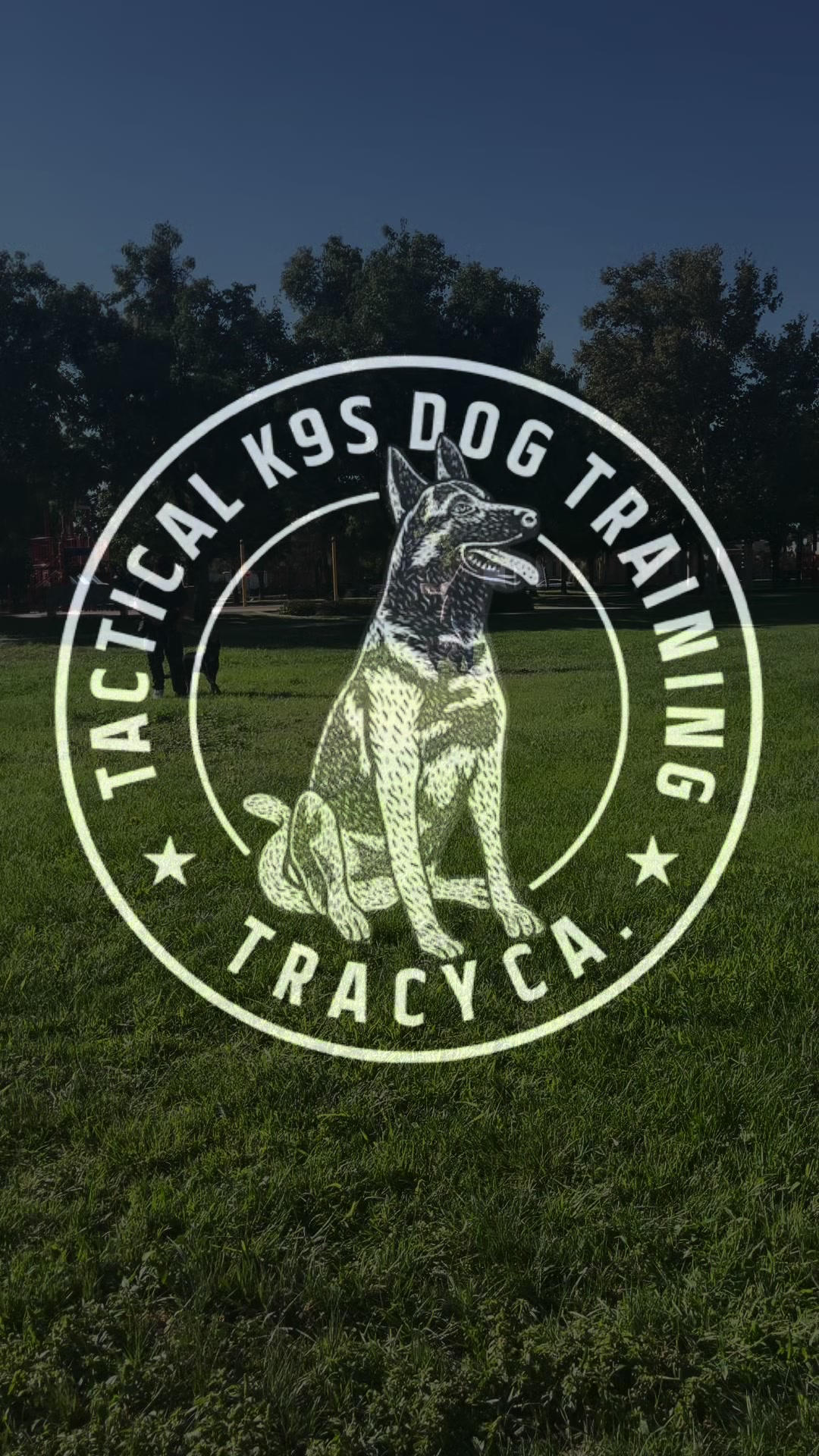 @Tactical K9s Dog Training