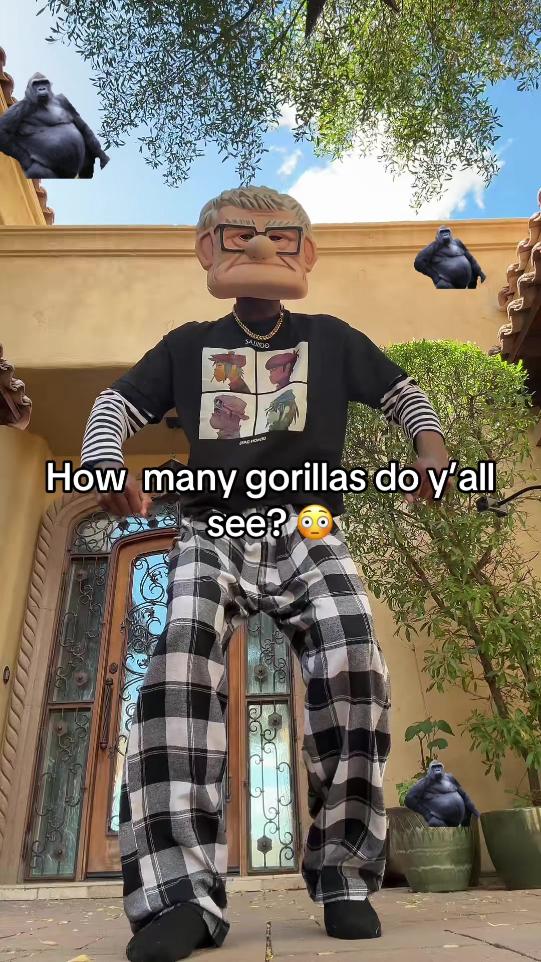 @SPIDA 🕷️
