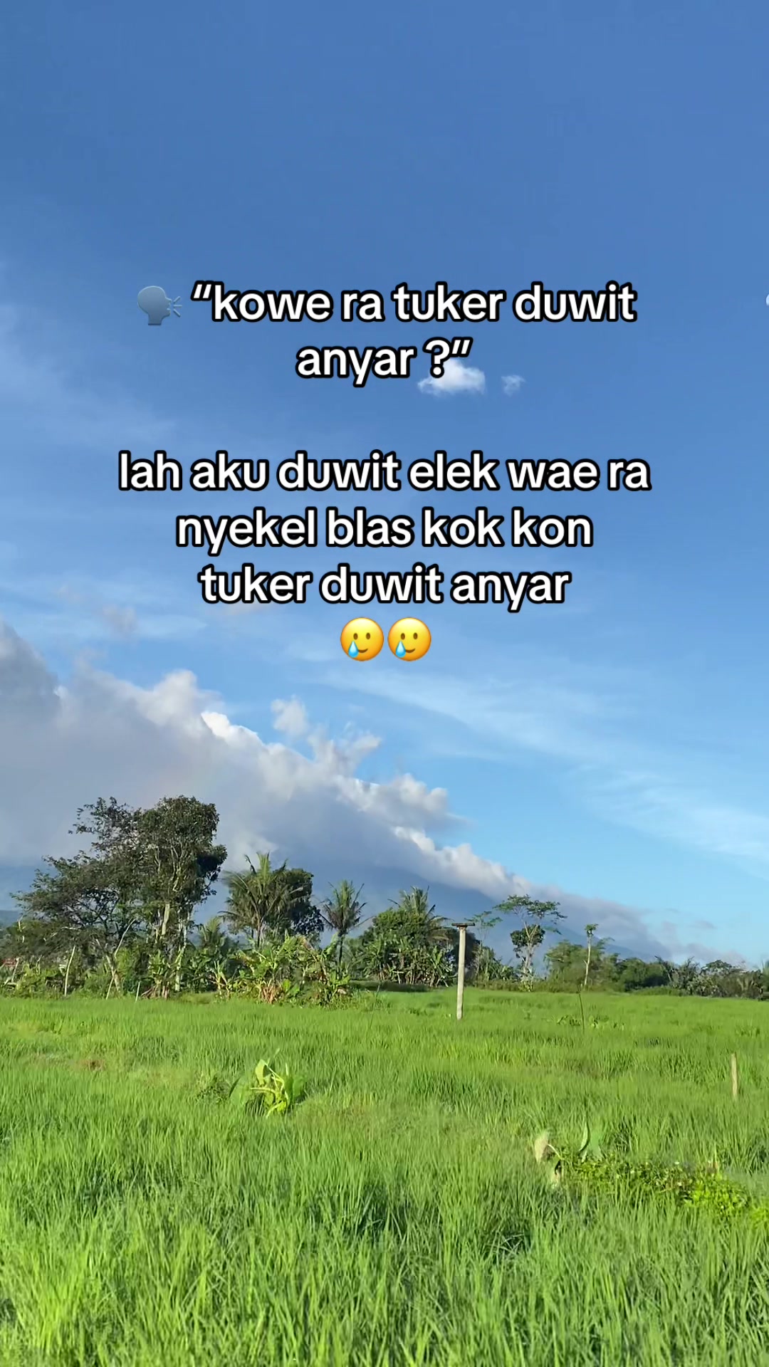 @MAS_DONNY