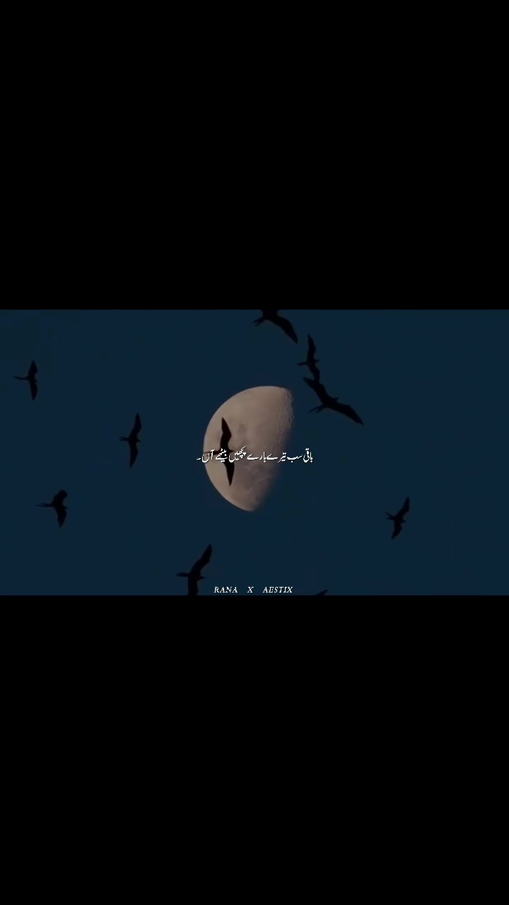 @๐๐๐ข๐๐_๐๐๐จ๐ฉ๐๐ญโ