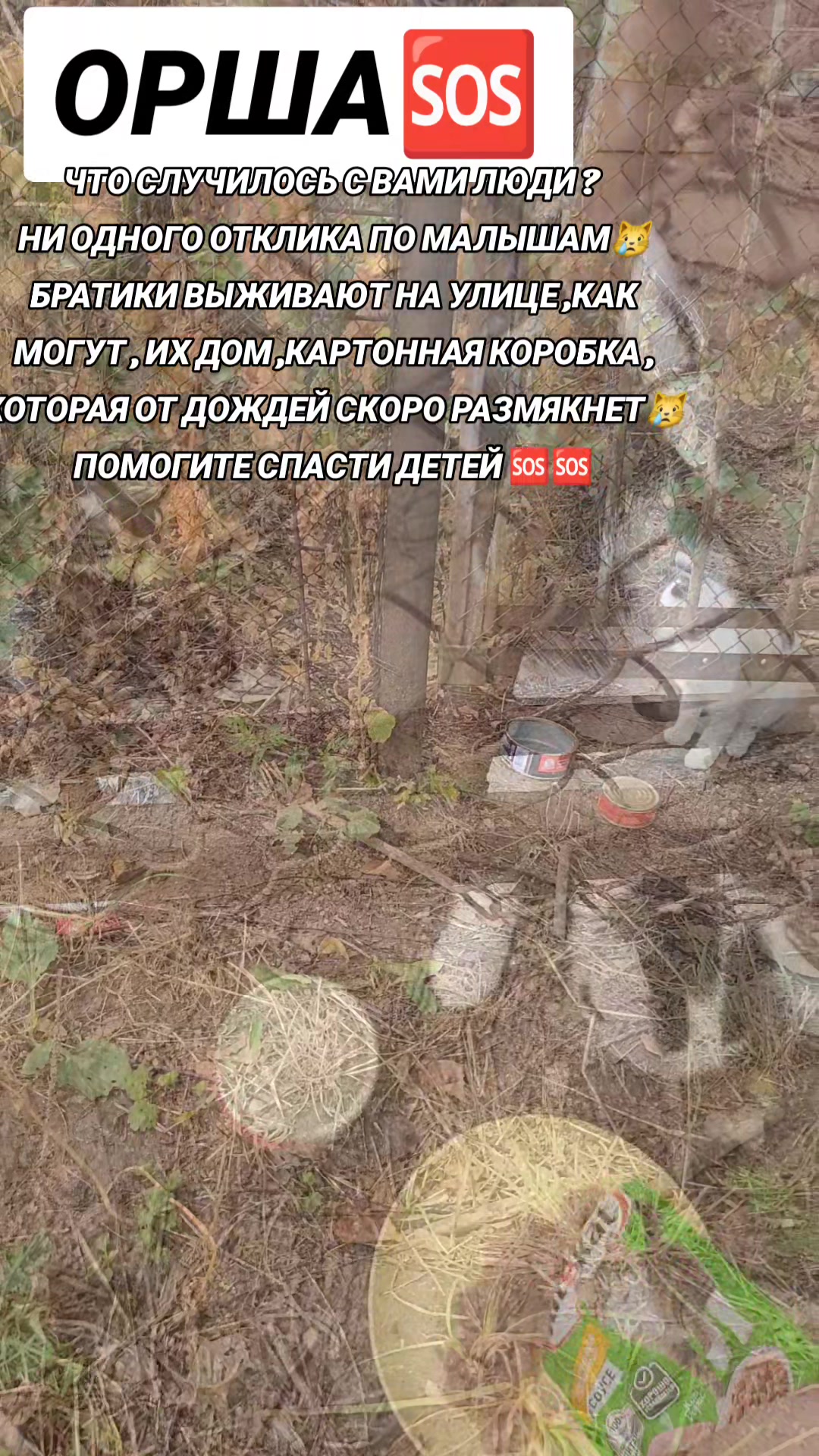 @marinka20_09