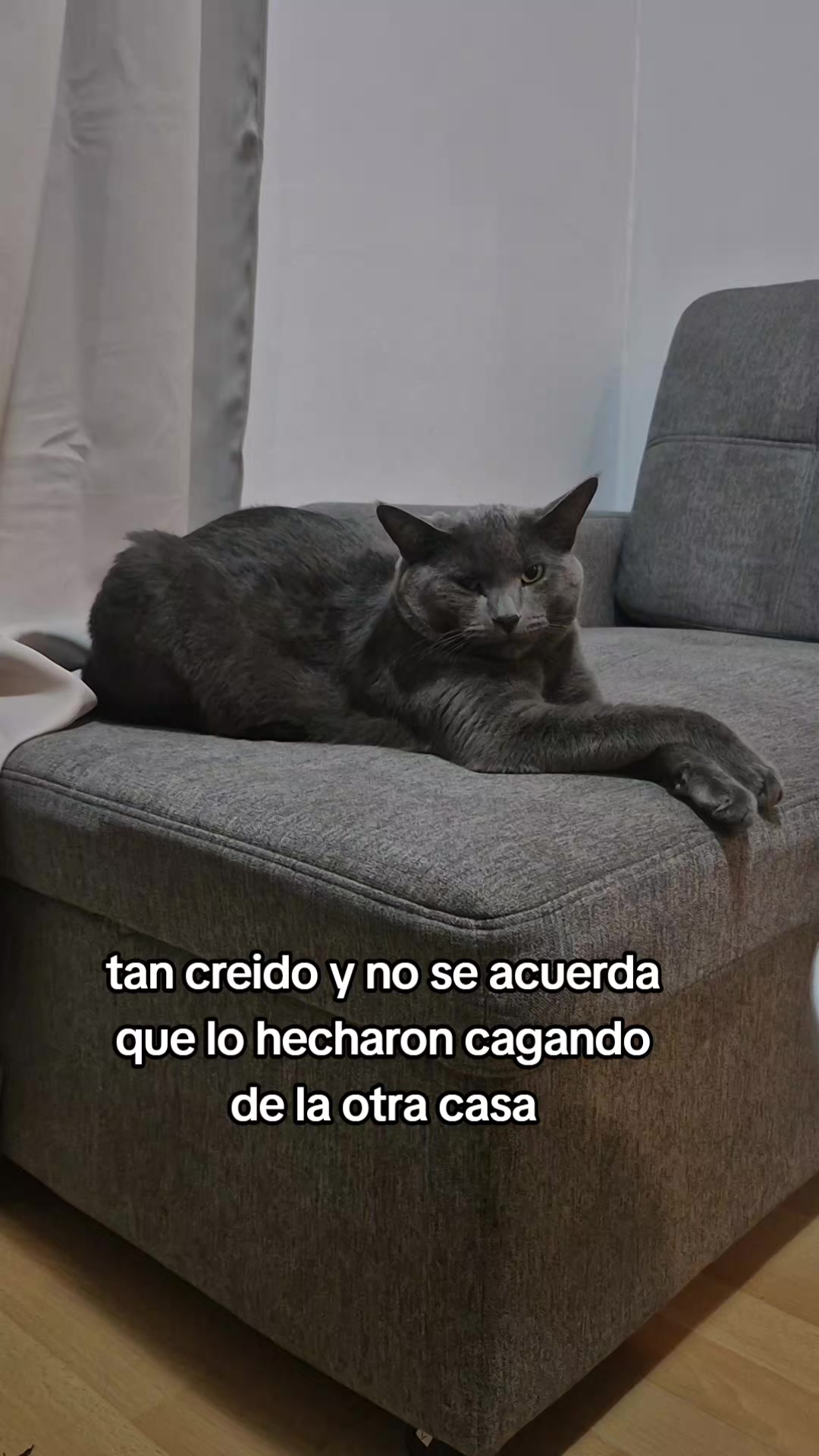 @Millaray Acevedo