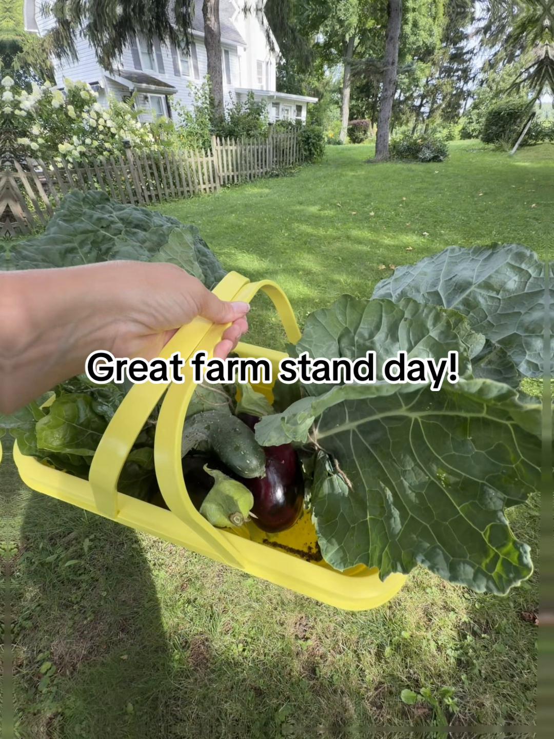 @Resistance Homesteaders