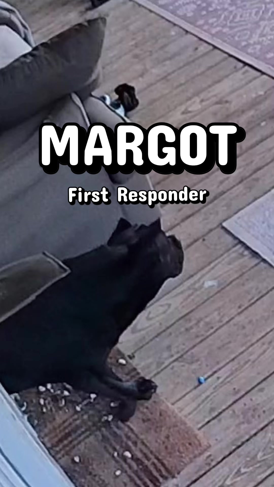@MyDogMargot