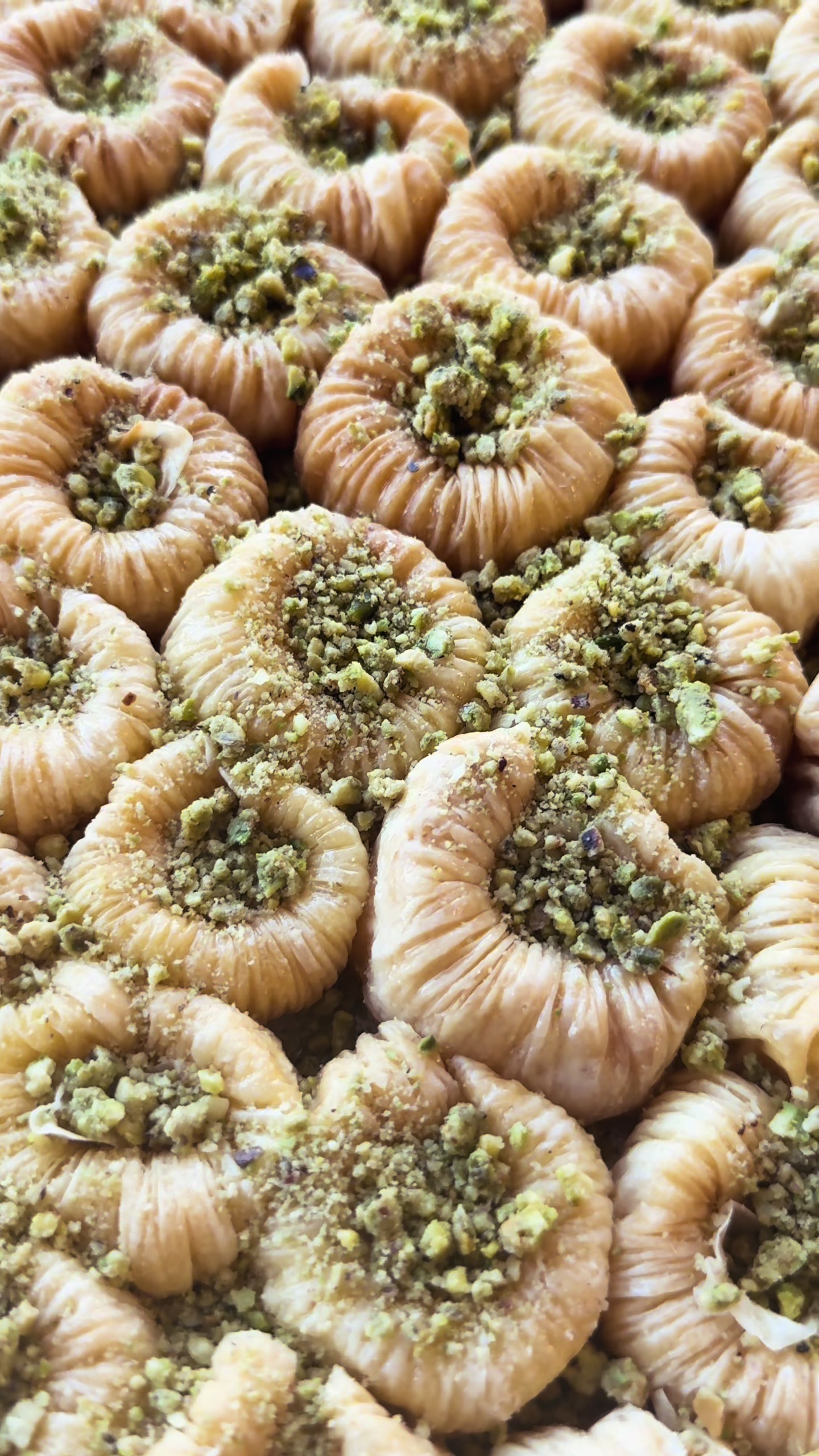 @Sarkis Pastry
