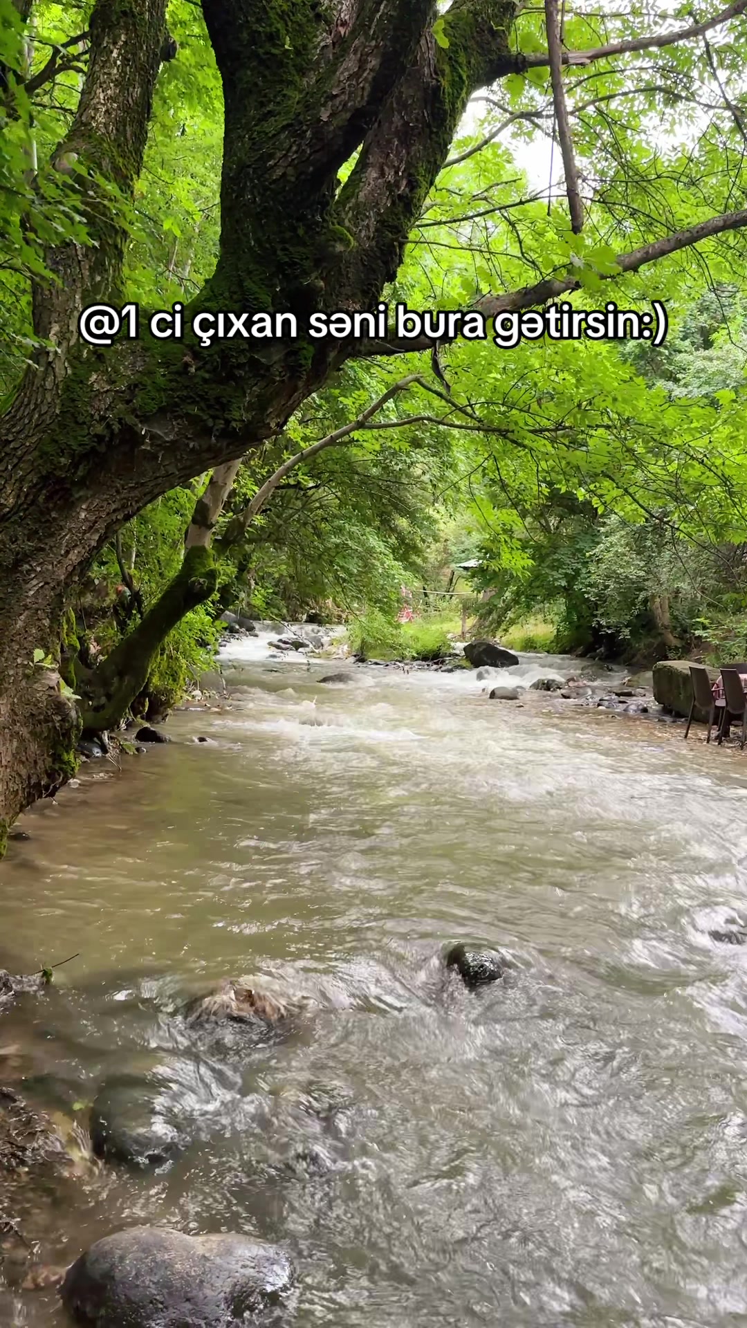 @Gold_g&uuml;l&uuml;stan_official