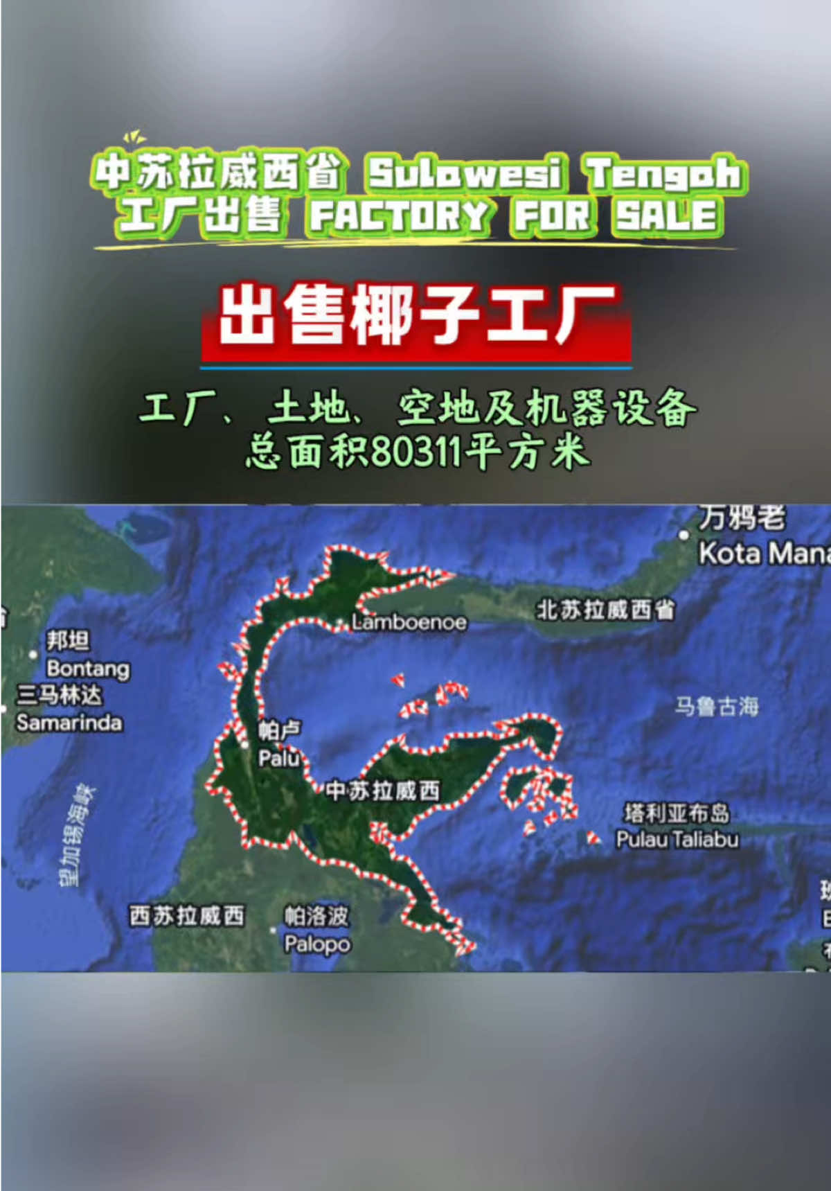 @万岛文化 BudayaNusantara