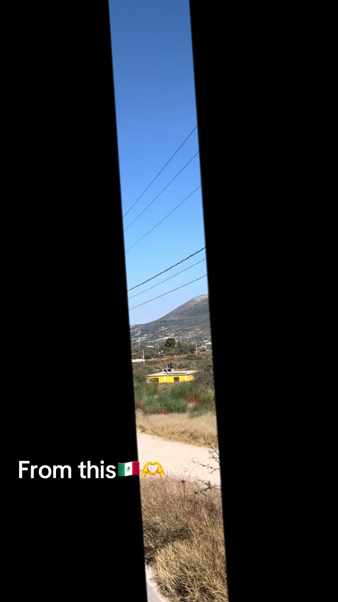 @nmaya239