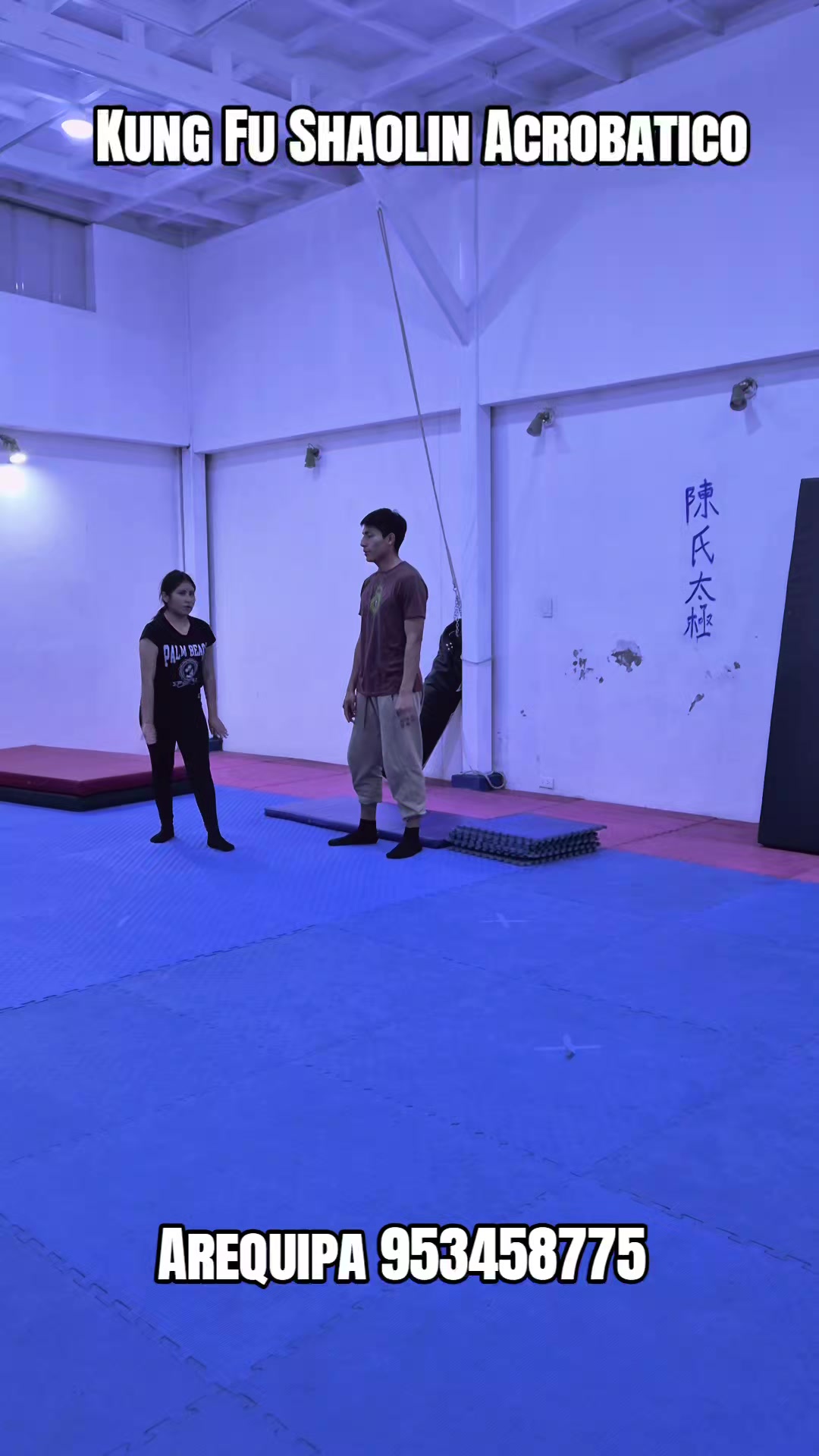 @SHIMIAOYING