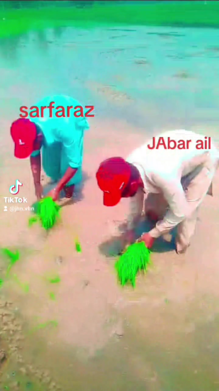 @sarfaraz love you