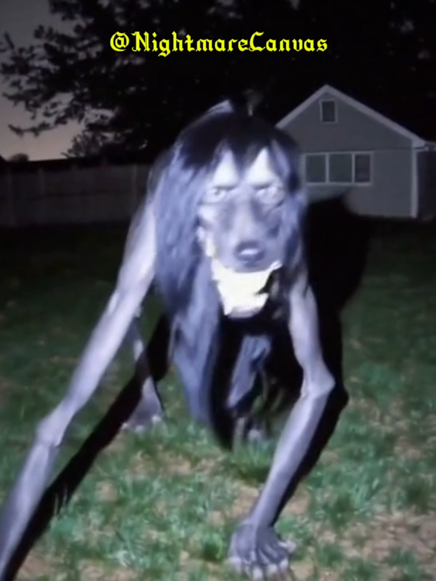 @NightmareCanvas