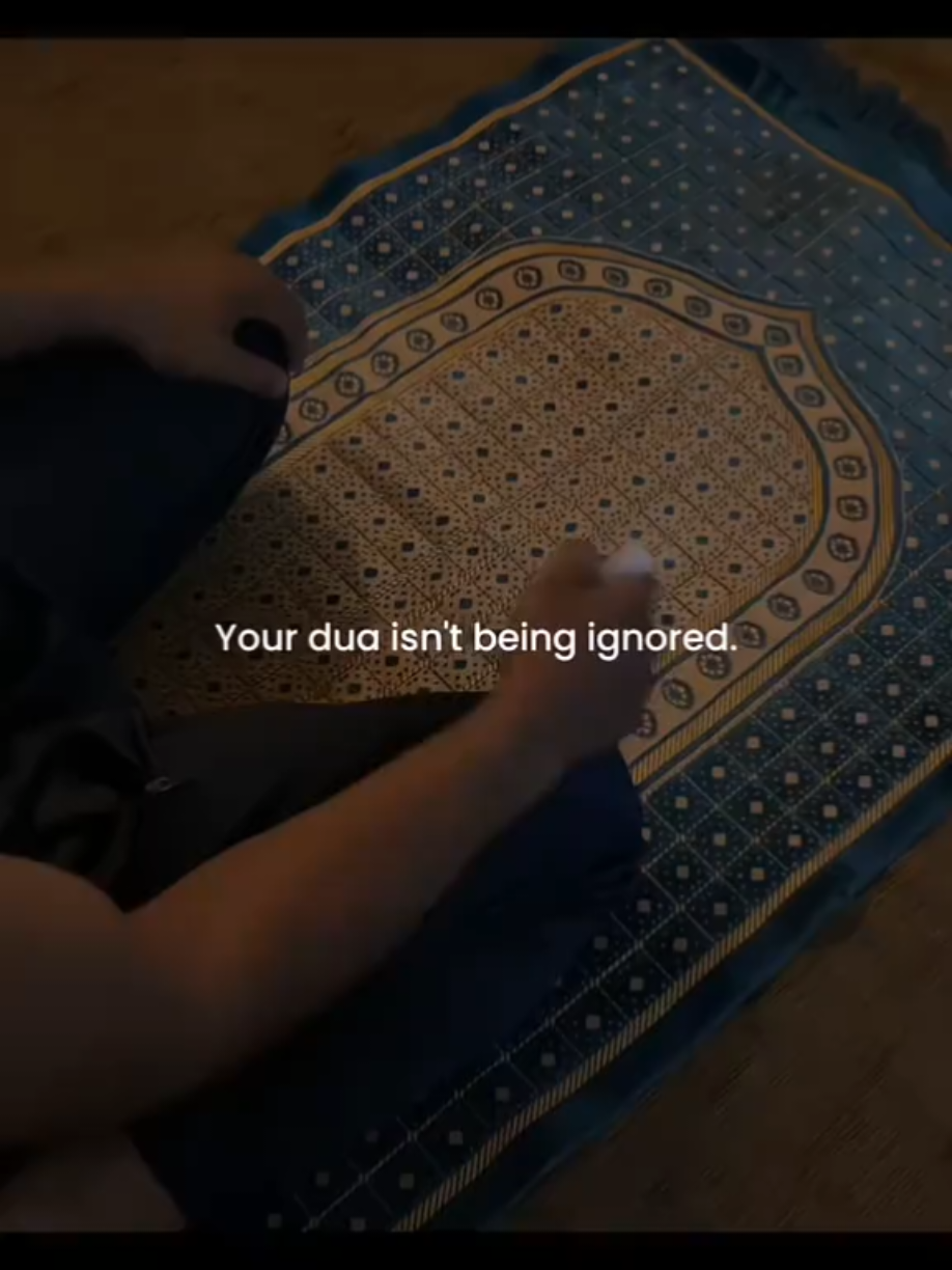 @Halal Mohsin