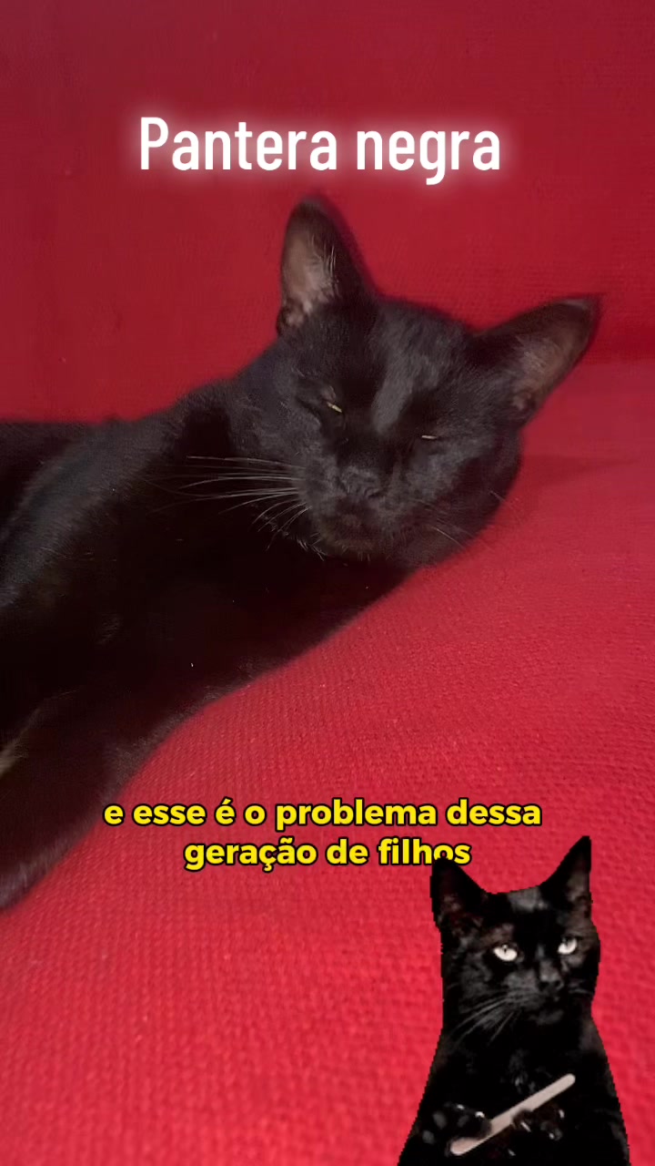 @Pamela Dias
