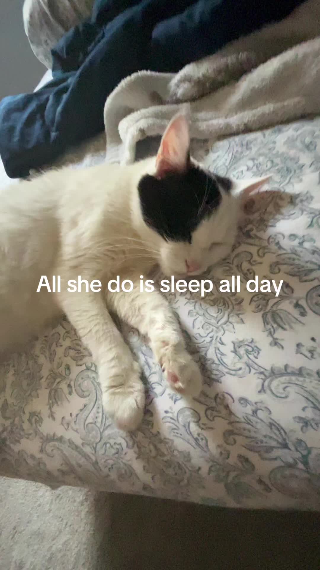 @unicornnnn123