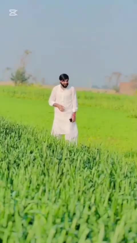 @چوھدری زین ہرل 222گروپ