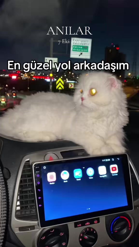 @yudummz_