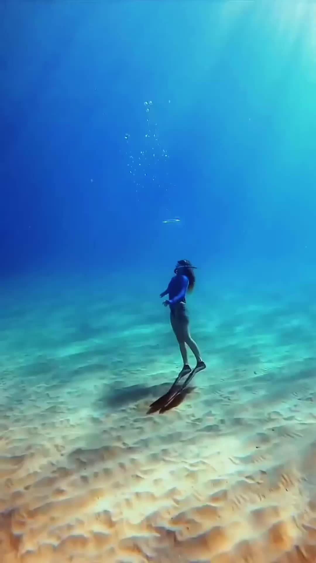 @thoian7551