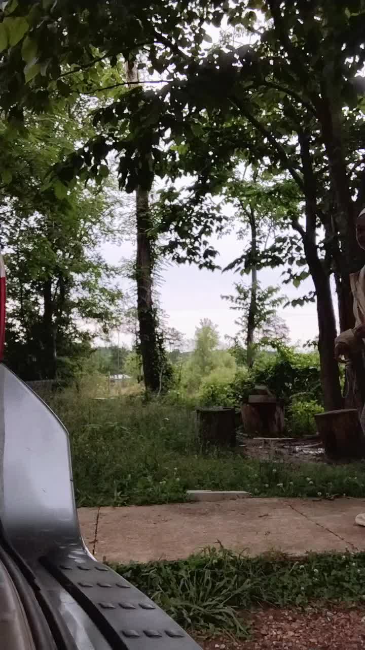 @dancinggranny66