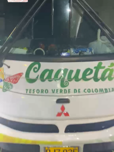 @Amaz&oacute;nica Noticias