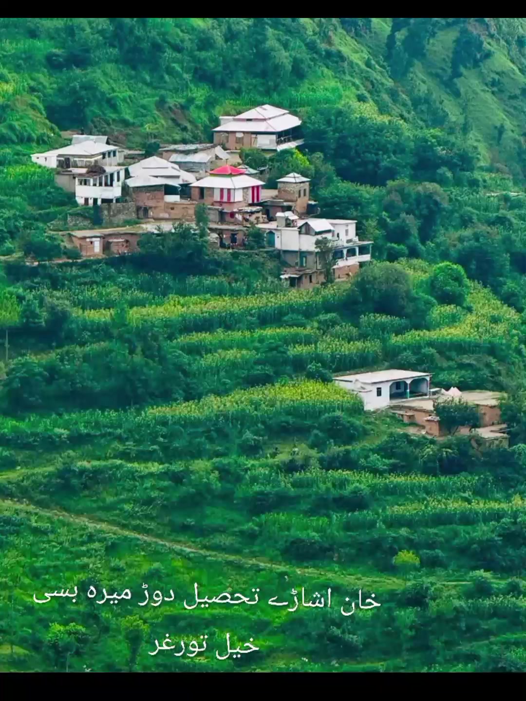 @MALIK Peer Muhammad Yousafzai