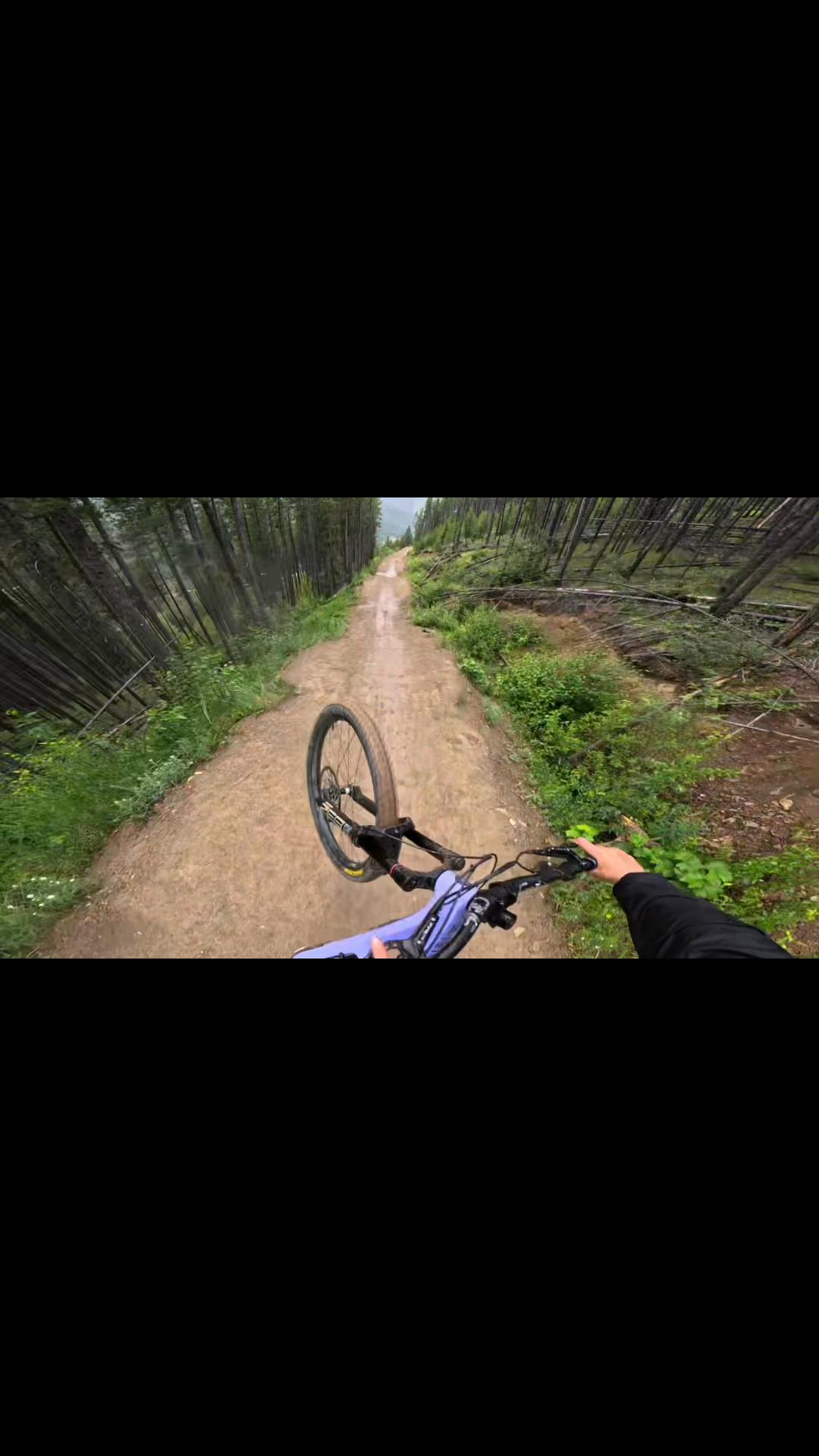 @Ali🇨🇦🇬🇧on_HD6