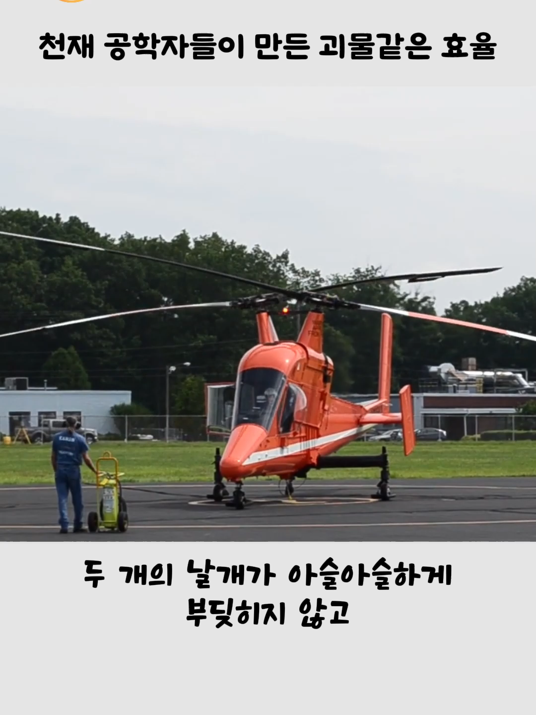 @호랑구팔