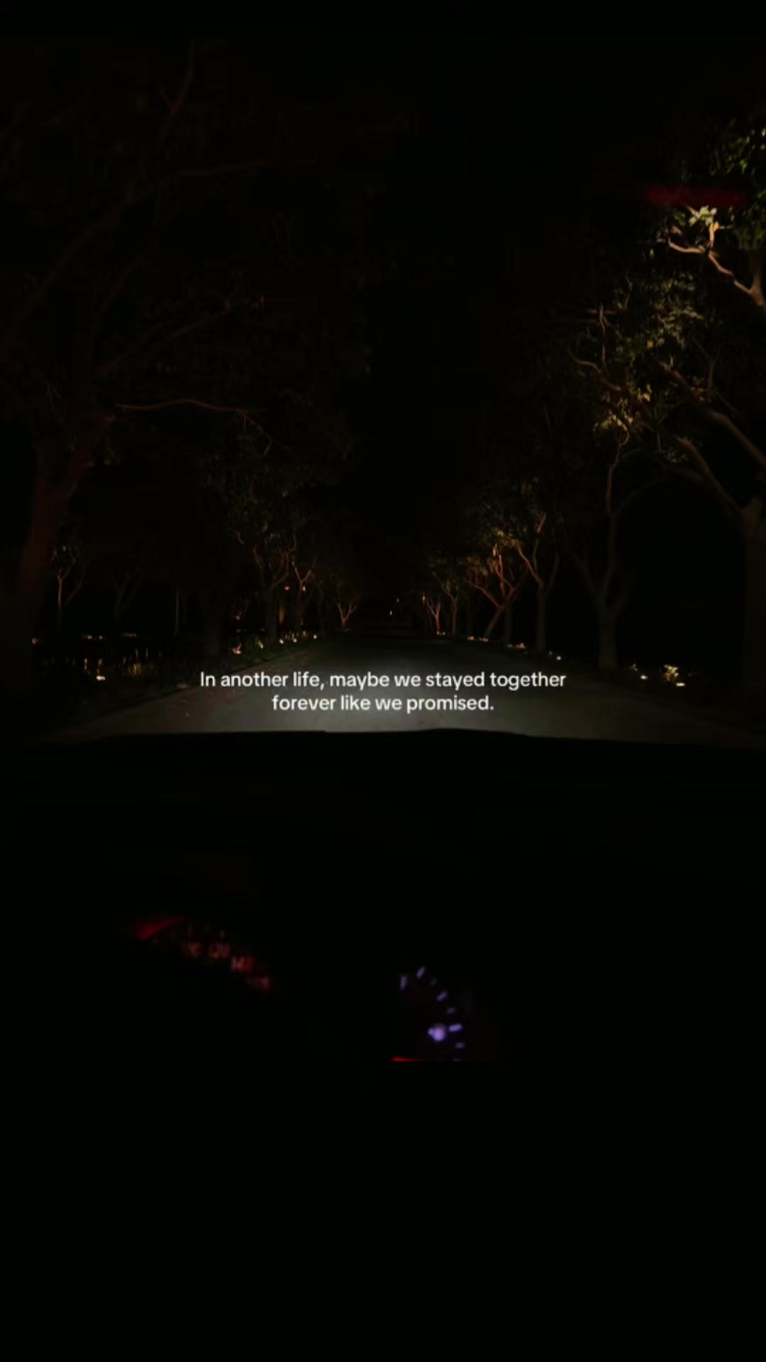 @🕷️🖤 VelvetShadow