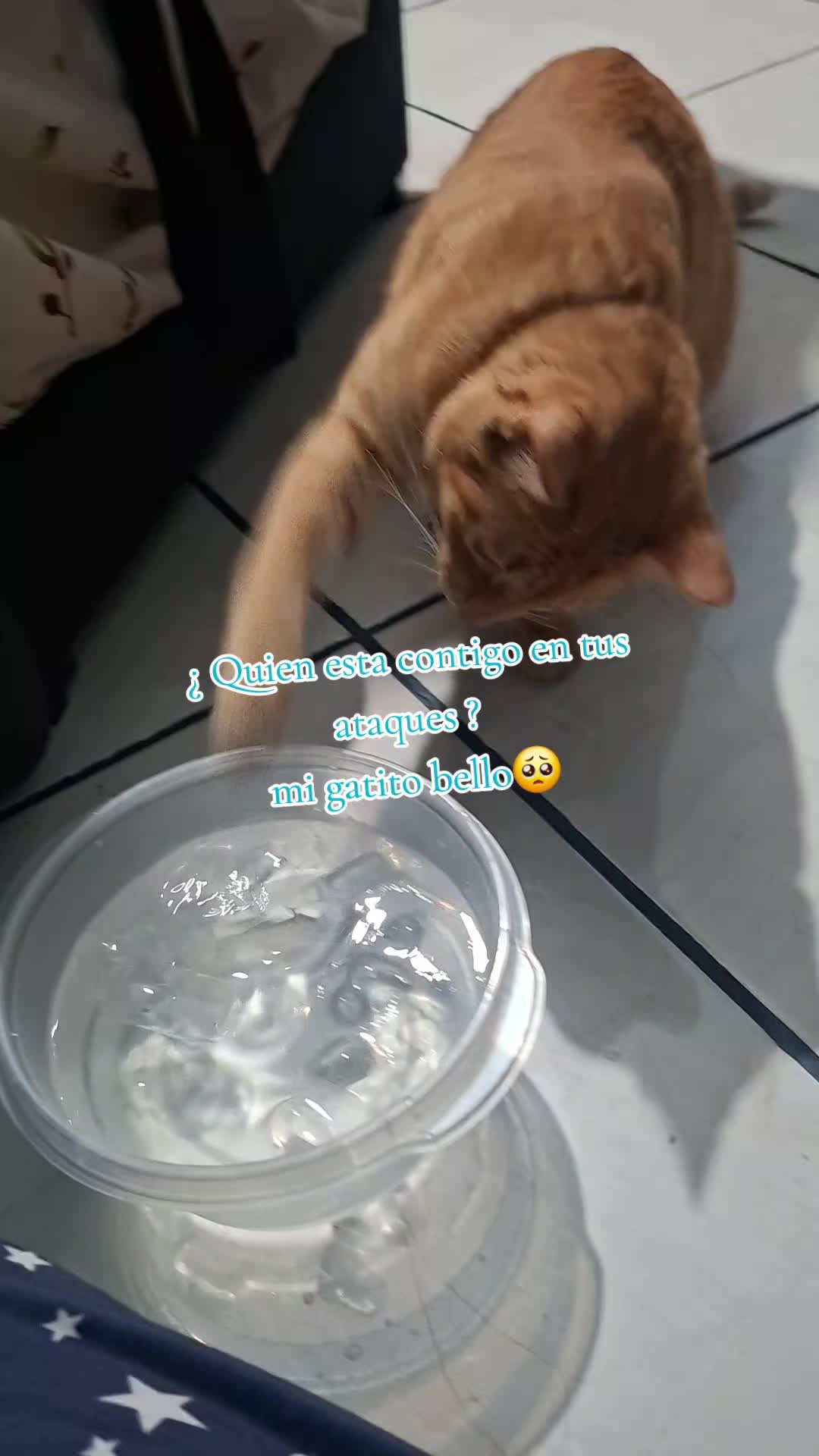 @Tani(ManadaLadridosCelestiales