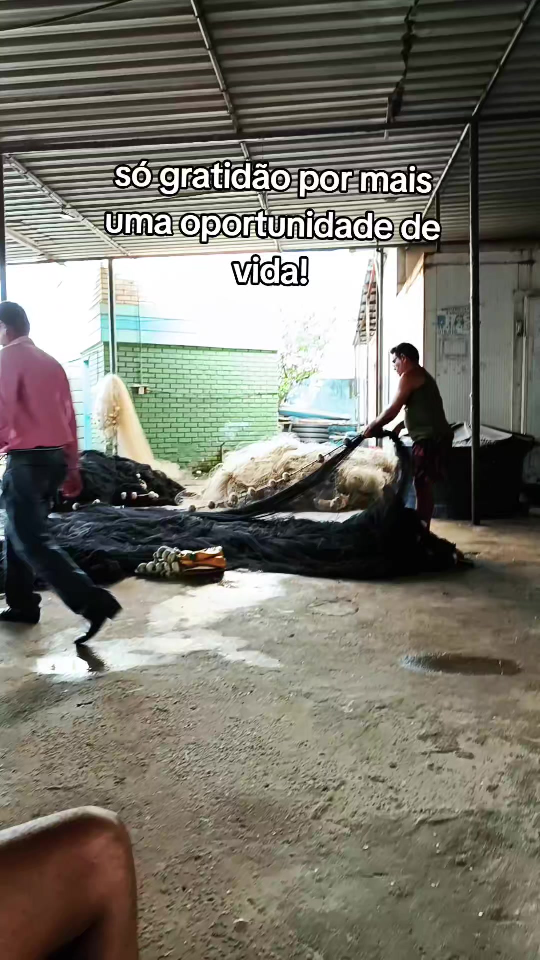 @Fabiana